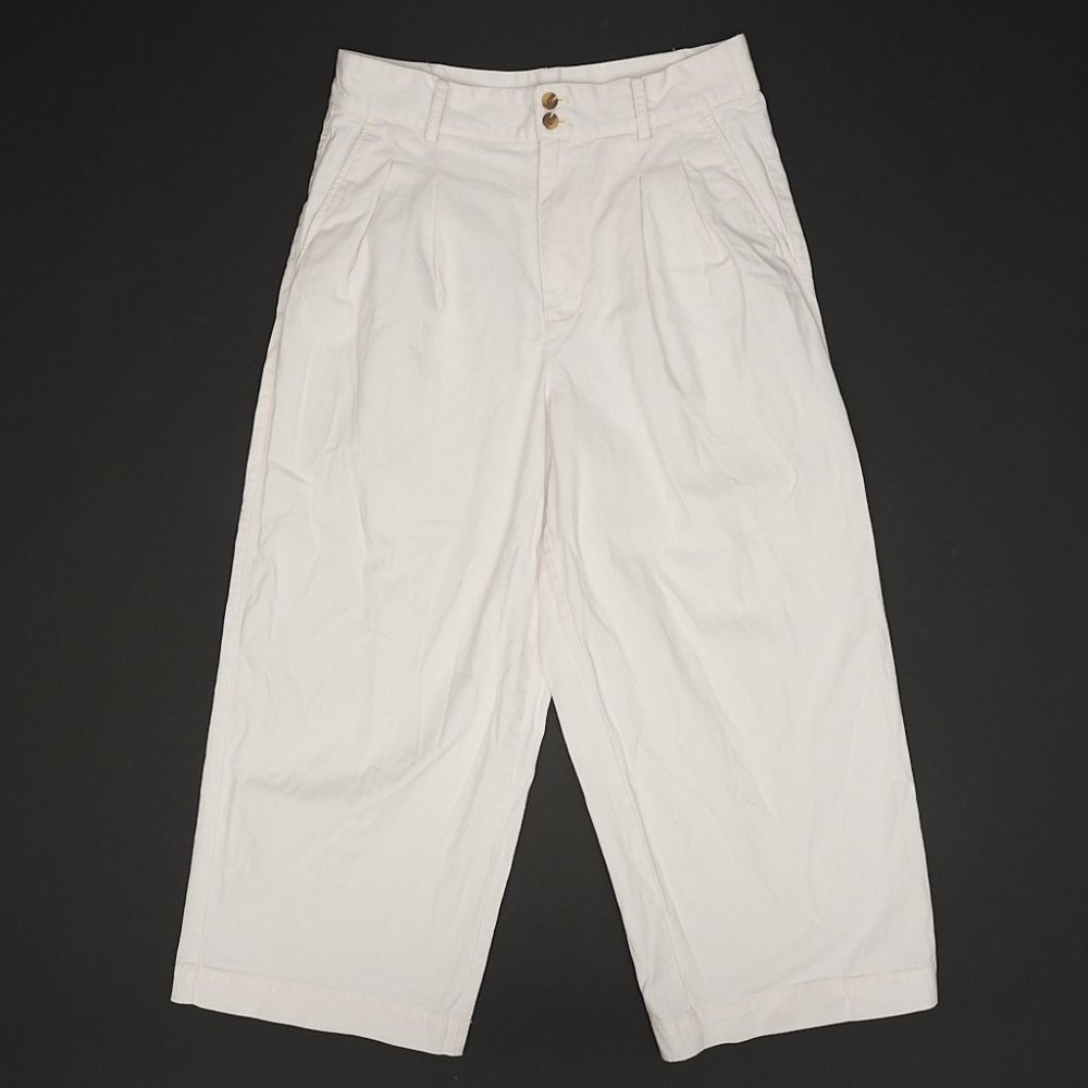 Madewell Pleated Wide Leg Pants 10